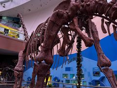 -陕西自然博物馆