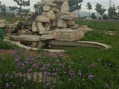 -羊亭河湿地公园