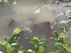 羊汤-张泽小阿弟羊肉馆