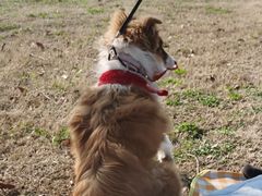 -BUND·FIVE外滩5号(天际店)