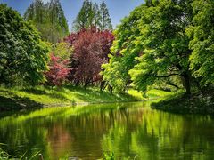 -上海共青森林公园