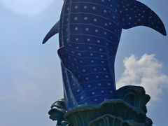 -珠海长隆海洋王国
