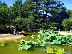 -国家植物园南园