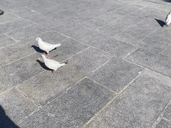 -悦城龙母祖庙