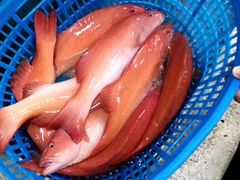 -渔人湾码头海鲜市场负二楼