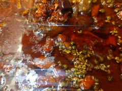 -麻六记(凤凰汇店)