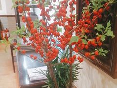 -山水茶艺馆·点心粤菜·30年老字号