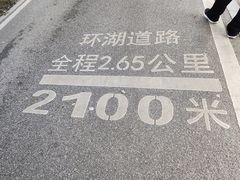 -海珠湖公园