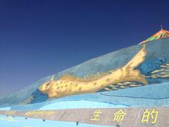 -青海湖国家重点风景名胜区