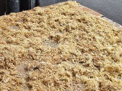 -沙湾姜埋奶(兴新包店)