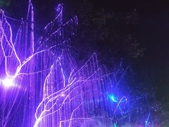 -洋湖国家湿地公园