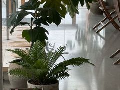 -喜茶(珠海华发商都店)