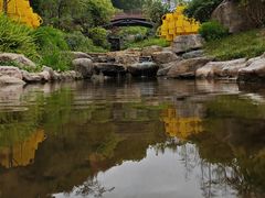 -云溪植物园