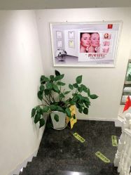 -痘博士昆明·国际祛痘领跑品牌