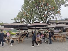 -恩阳古镇