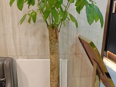 -威尔·佳宴创意陕菜融合菜(老城根红庙坡地铁站店)