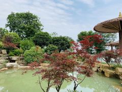 -铁山坪森林公园