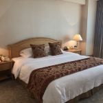 -南京维景国际大酒店(南京博物院店)