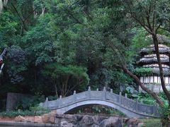 -深圳国际园林花卉博览园