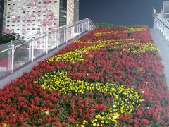 -赛格电子市场(华强北路店)