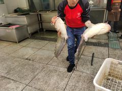 -江龙饭店·乌江豆腐鱼(乌江老桥头店)