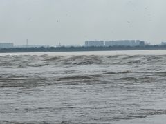 -观潮胜地公园