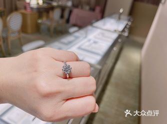 「钻石小鸟•钻戒婚戒定制(王府井新东安店)」