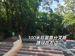 -广州市白云山风景名胜区