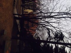 iphone_upload_pic-观象山公园
