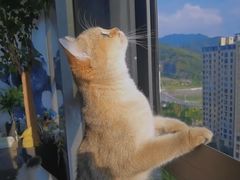 -缦云里花园餐厅