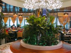 -润园四季椰子鸡火锅(海上世界店)