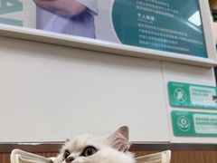 -瑞派中心宠物医院·CT·核磁·神经专科