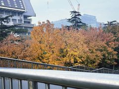 -北京大学百年讲堂