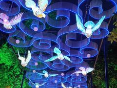 -汝萍传统蘸水菜(春华路总店)