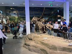 -自贡恐龙博物馆