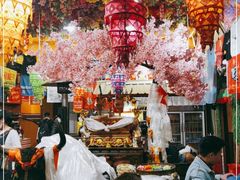 -吉祥圣雪藏餐