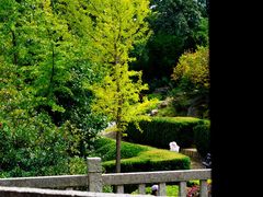 -天龙八部武侠城