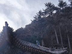 -五台山风景名胜区