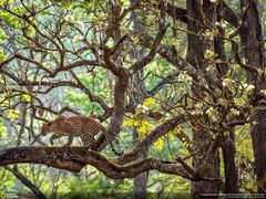 -玉林串串香(九号天地店)