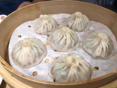-老班长手工灌汤包(望京华彩店)