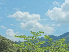 -黄花溪