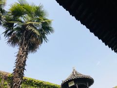 -何园