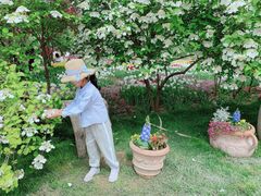 -石家庄市植物园