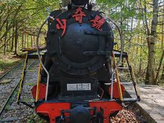 -五营红松林海景区