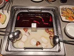-海底捞火锅(坪山益田假日广场店)