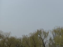 -丰台花园