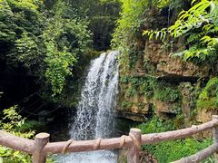-鹿院坪生态旅游景区