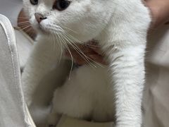 -联合动物医院(光谷诊疗中心)