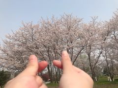 -东方绿舟景区