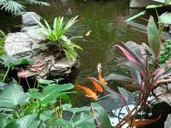 -广州白天鹅宾馆